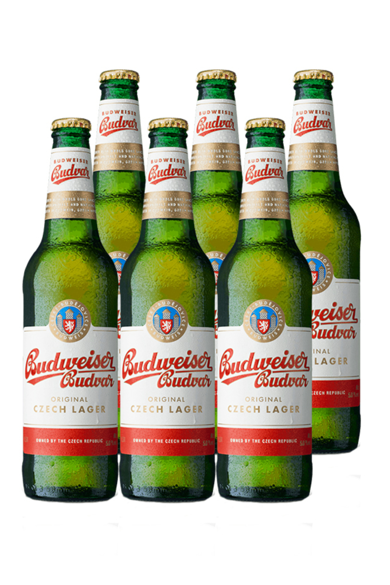 Budvar Czech Lager Bottle (6-pack)