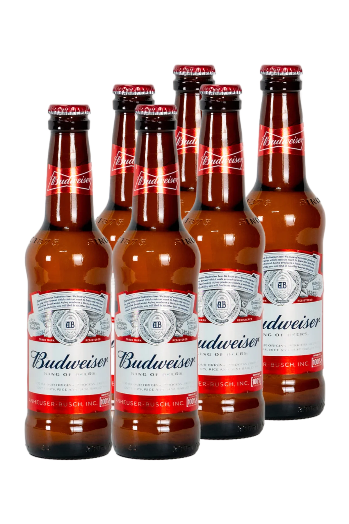 Budweiser American Lager 6-pack 6 x 330ml - Compare prices in UAE