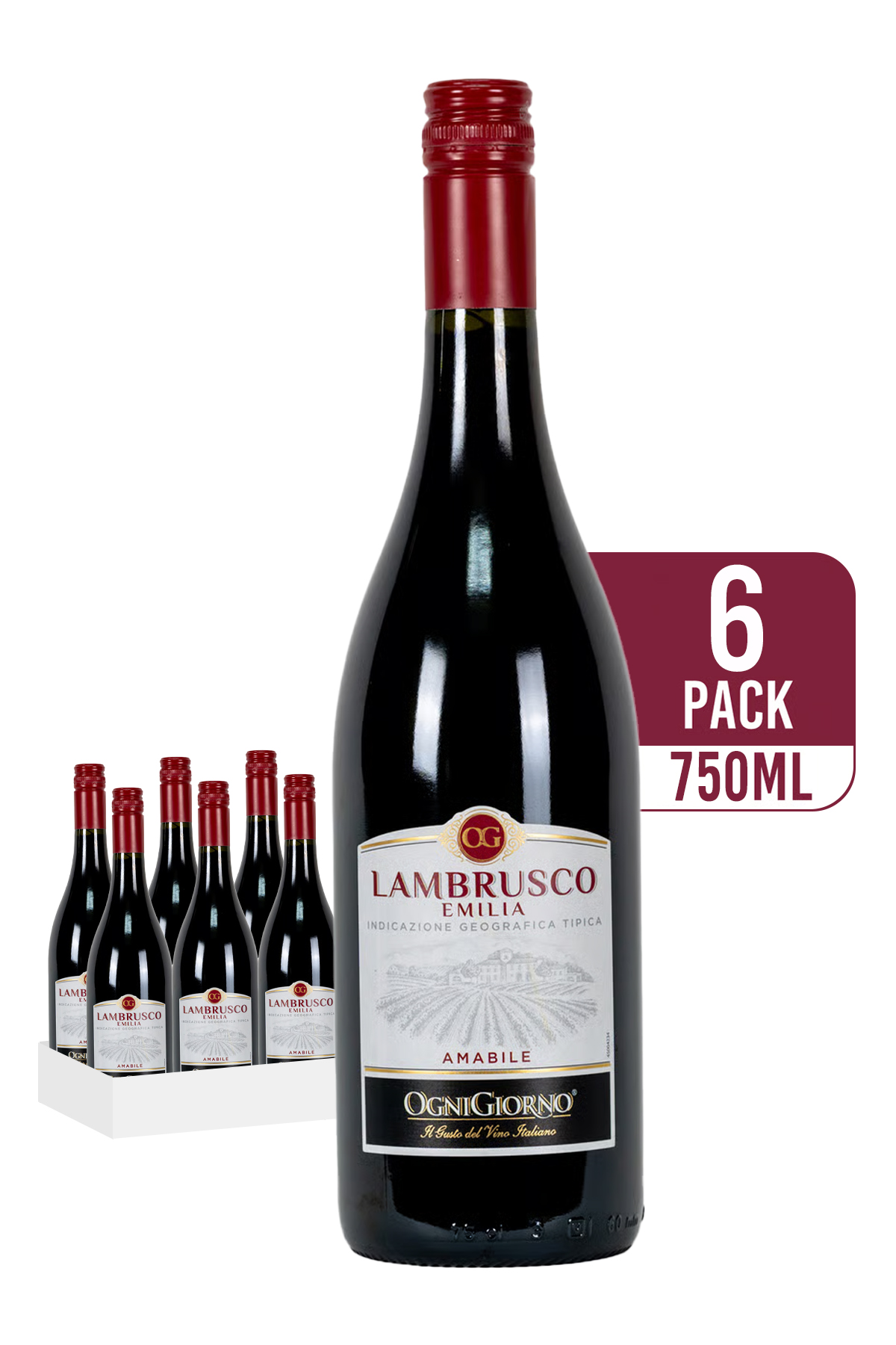 Zonin Lambrusco Dell Emilia Amabile Ognigiorno IGT (6-pack)