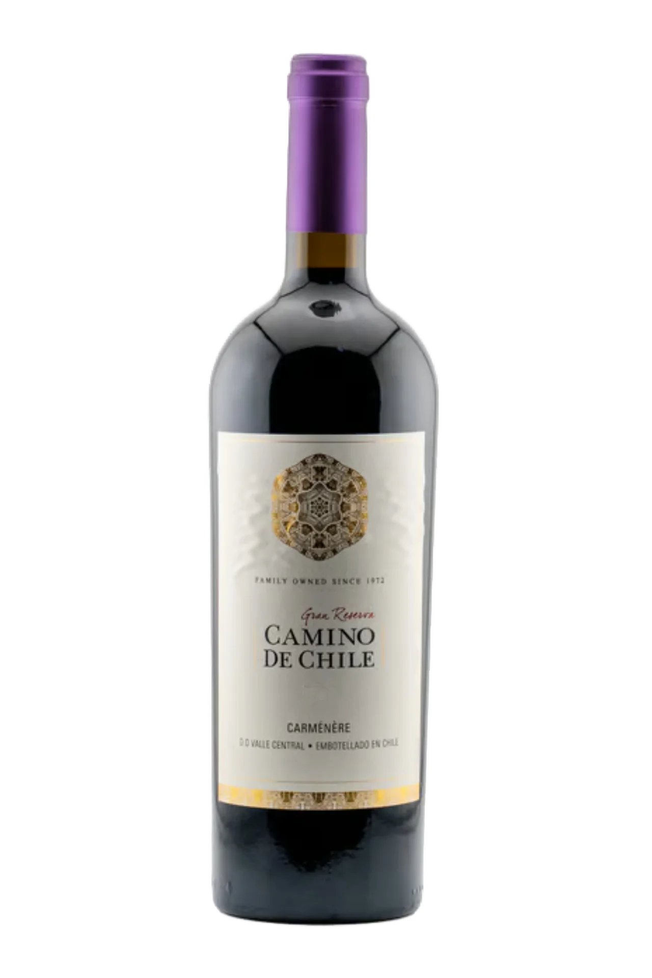 Camino de Chile Carmenere 750 ml by camino de chile - Compare prices in UAE