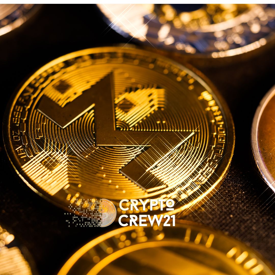 PRIVACY COIN WEBINAR - Aufzeichnung vom 01.12.24