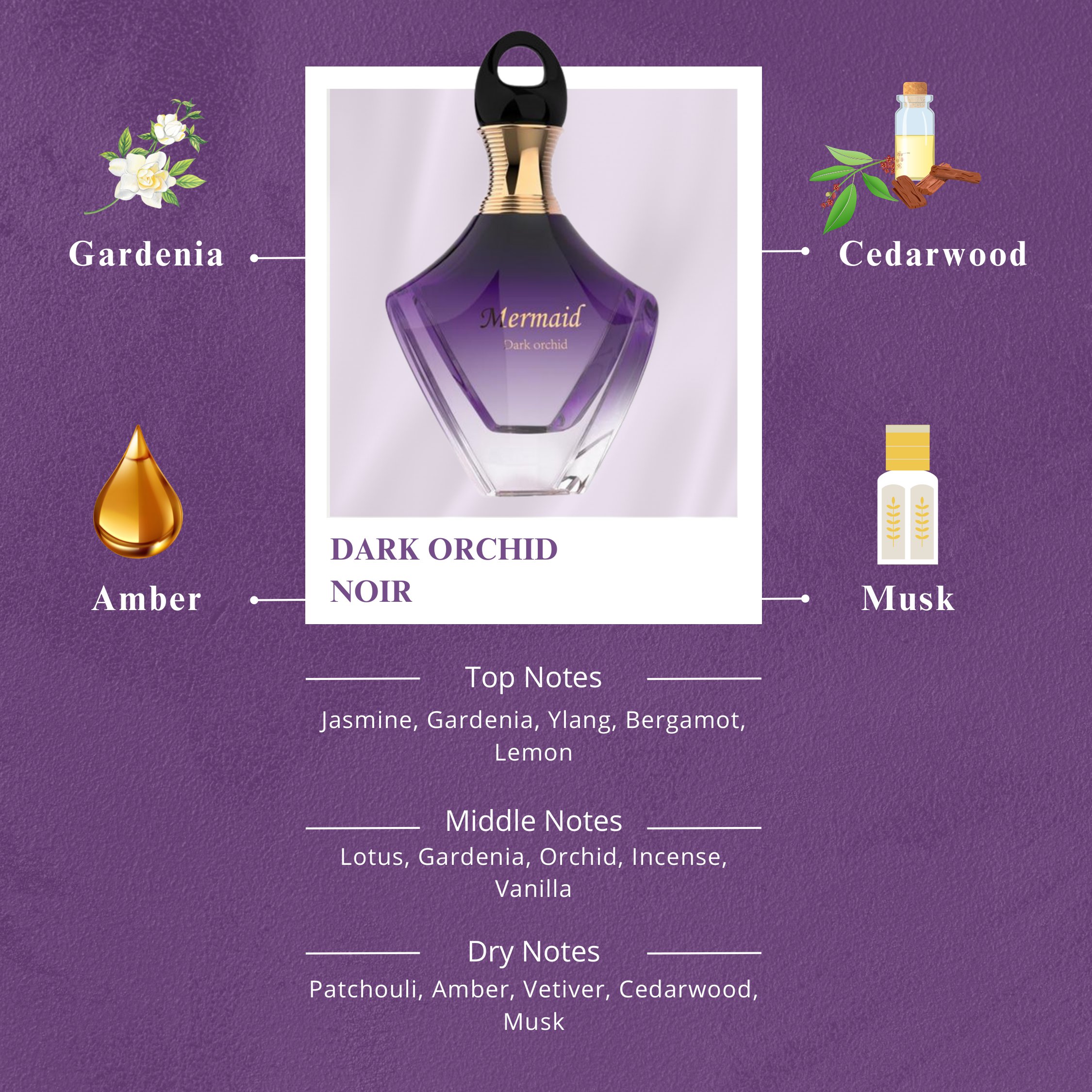 Dark Orchid Noir – 2