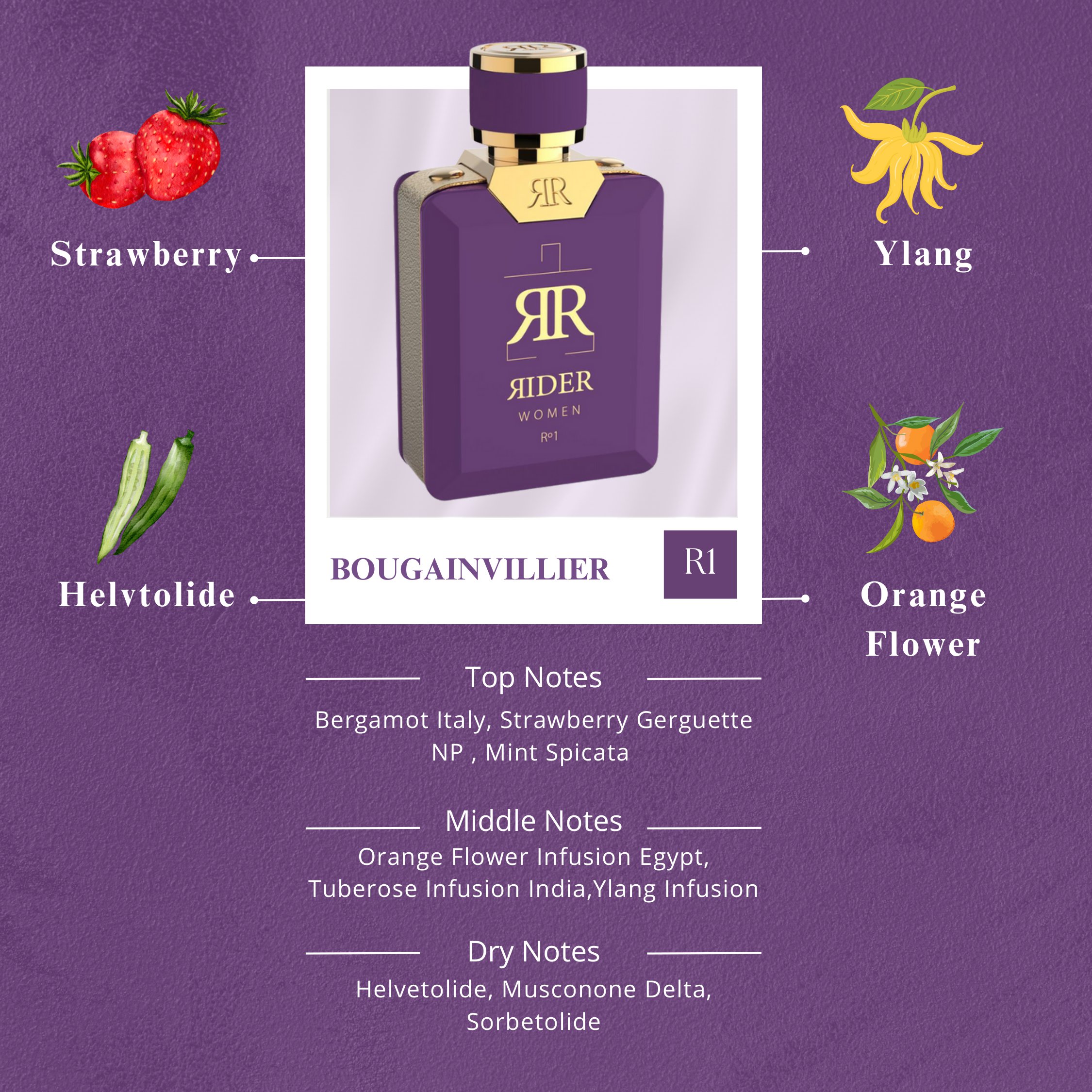 Bougainvillier – 2