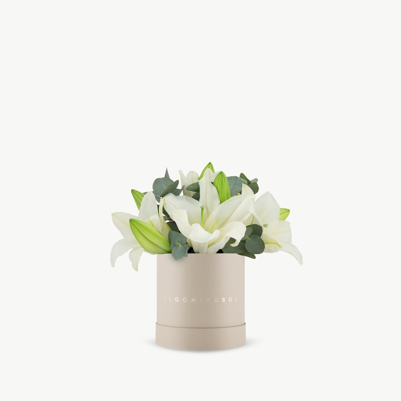 Lilies Box Small - Same Day Delivery