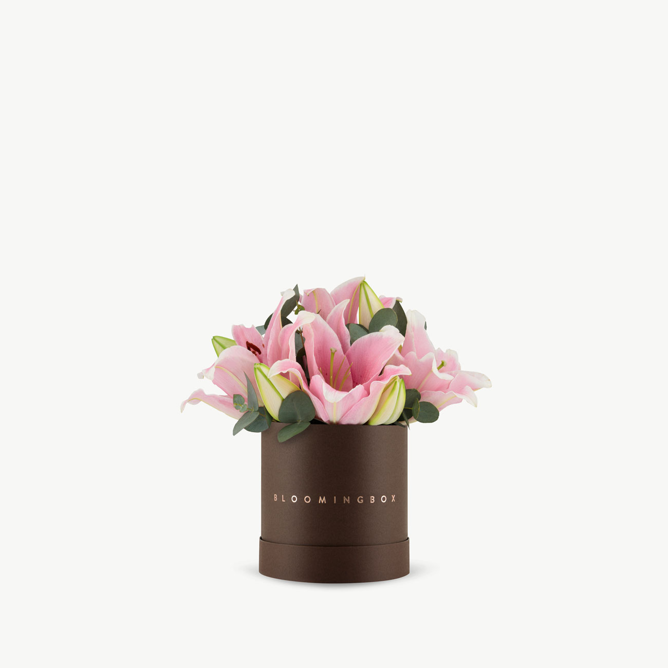 サミット　リリーボックス　LILY BOX Lilies Box Large - Same Day Delivery