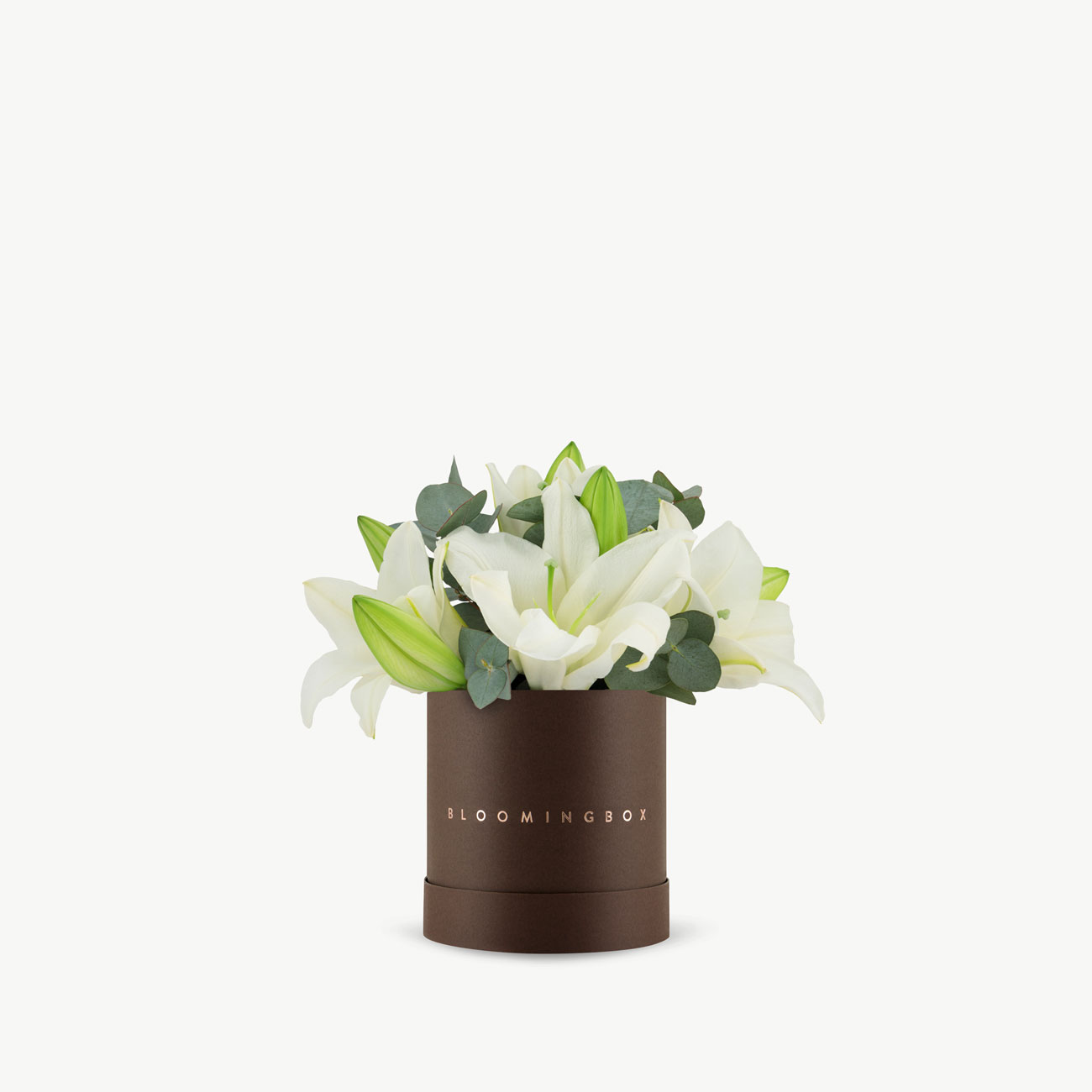 Lilies Box Small - Same Day Delivery