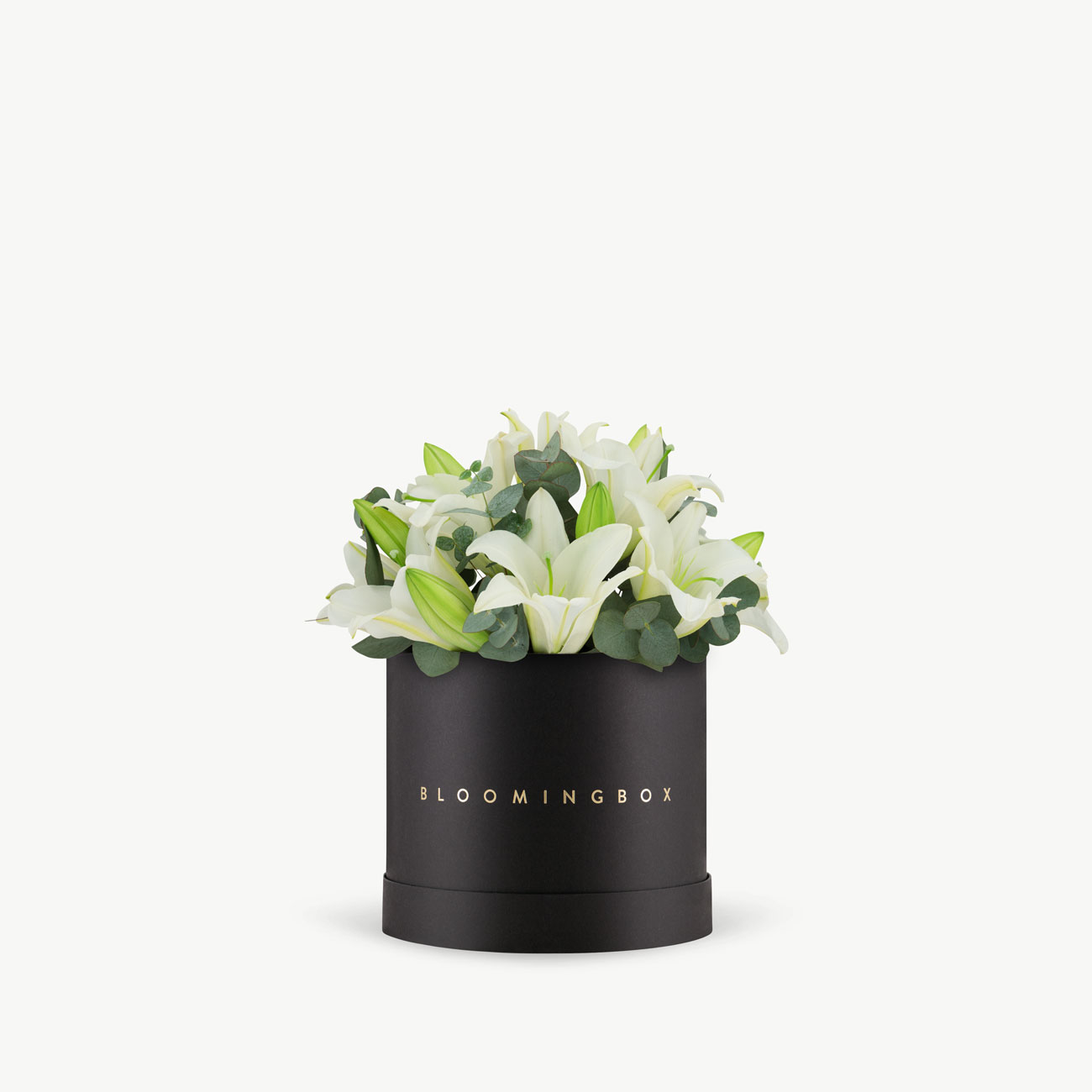 サミット　リリーボックス　LILY BOX Cornsilk-Surprise-Lilies-