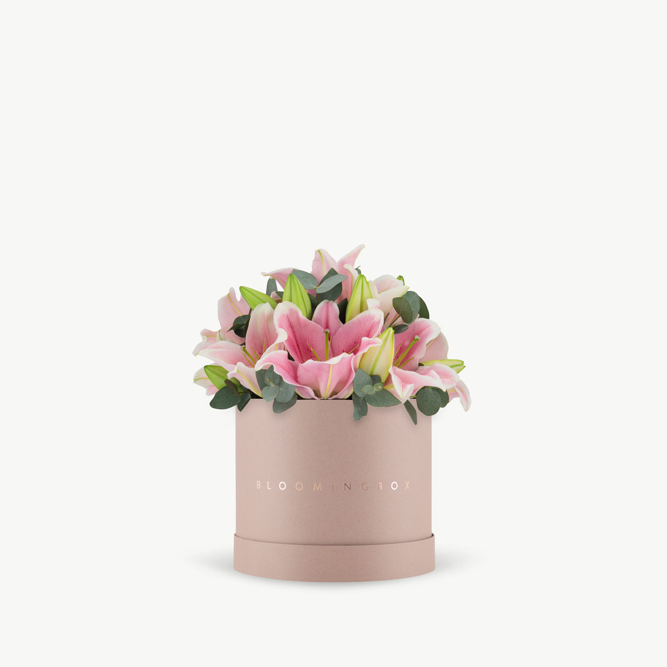 サミット　リリーボックス　LILY BOX CornsilkSurpriseLiliesBoxArran