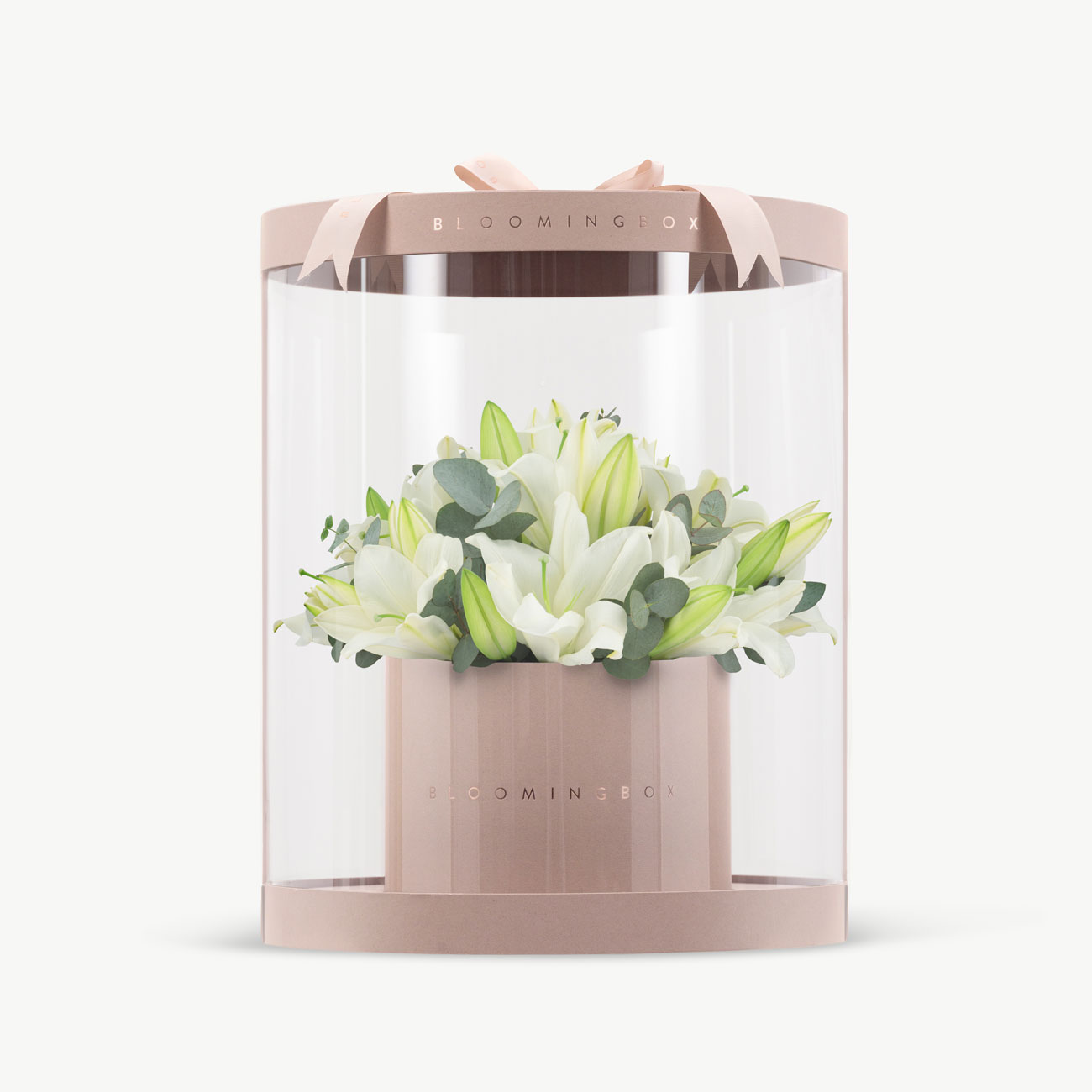 Lilies Box Large - Same Day Delivery