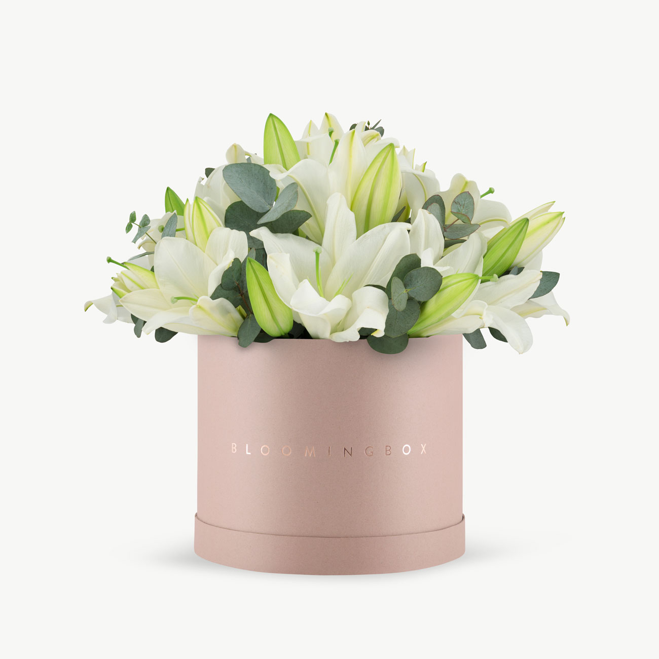 Lilies Box Large - Same Day Delivery