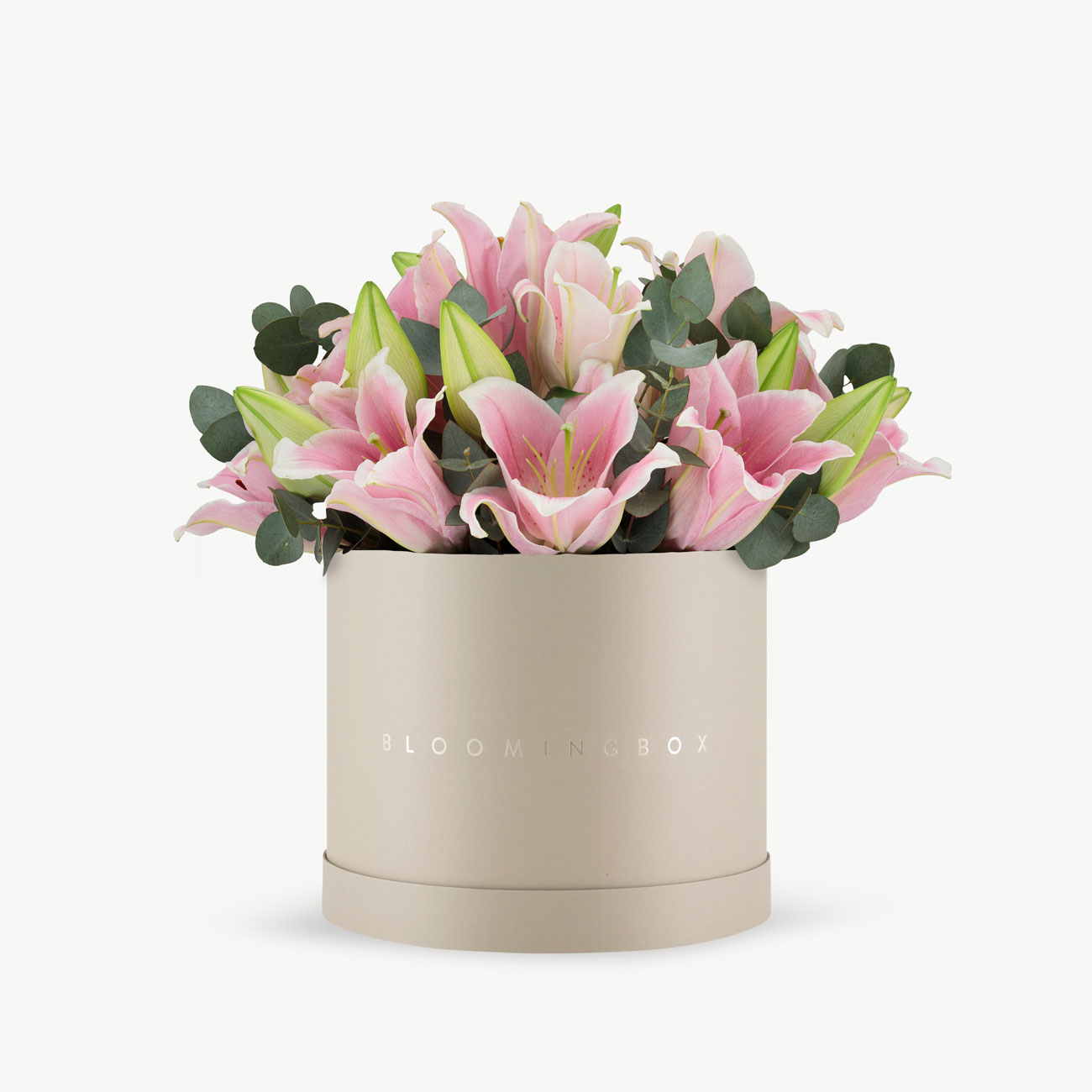 Lilies Box Large - Same Day Delivery