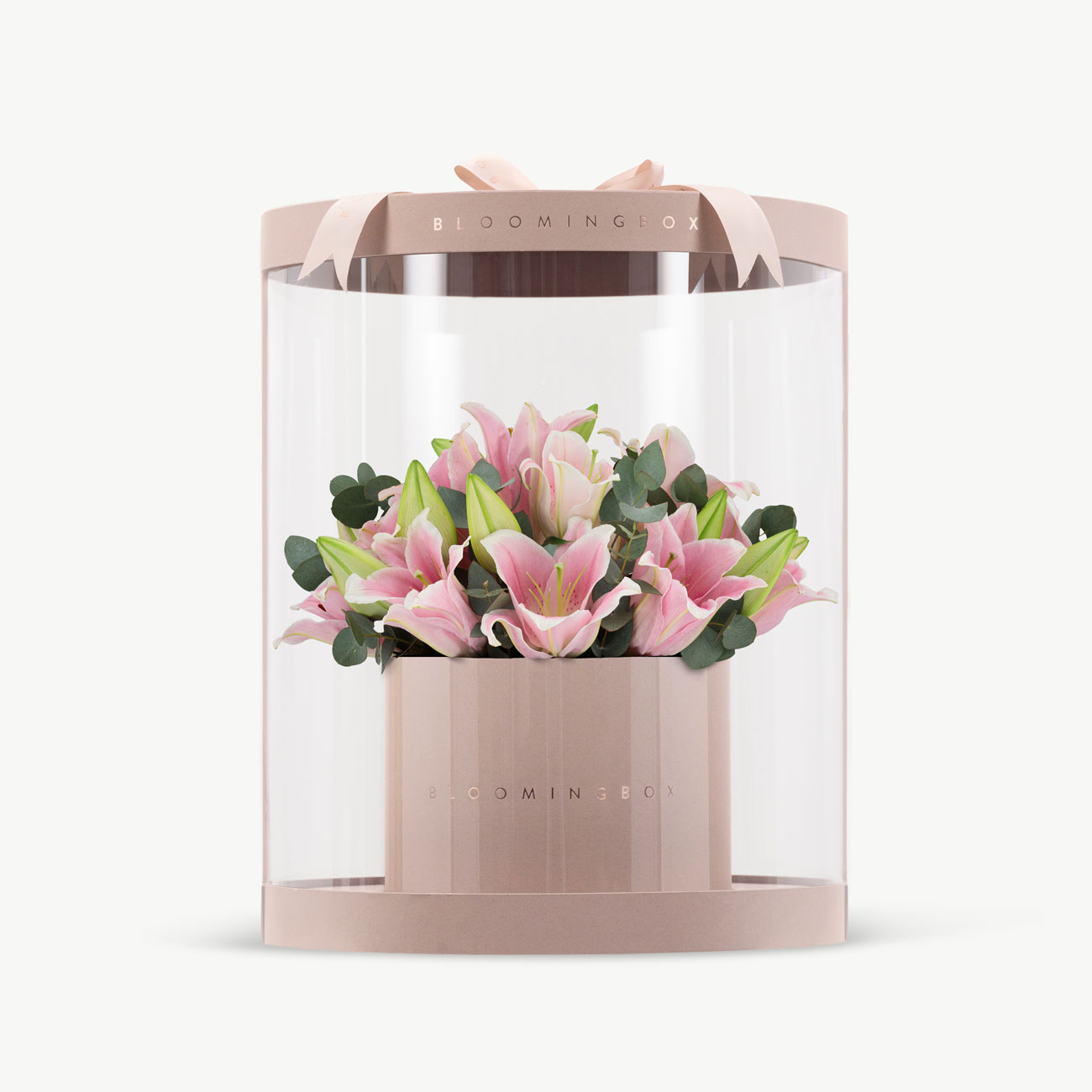 サミット　リリーボックス　LILY BOX Cornsilk-Surprise-Lilies-