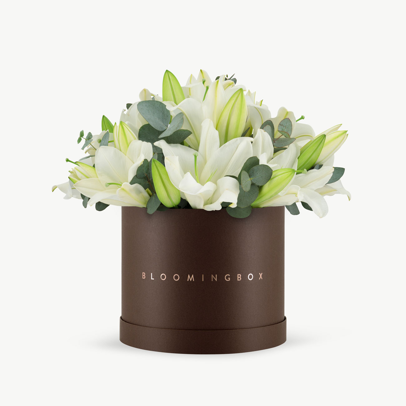 サミット　リリーボックス　LILY BOX CornsilkSurpriseLiliesBoxArran