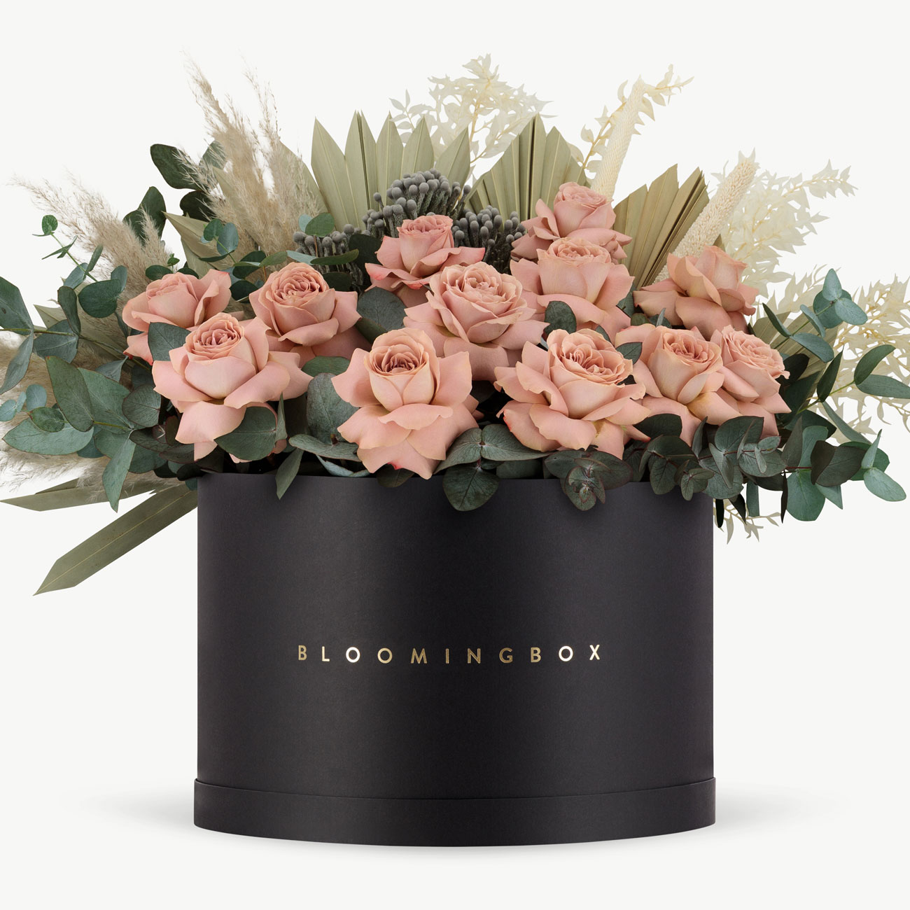 Petra Box Xlarge Same Day Delivery