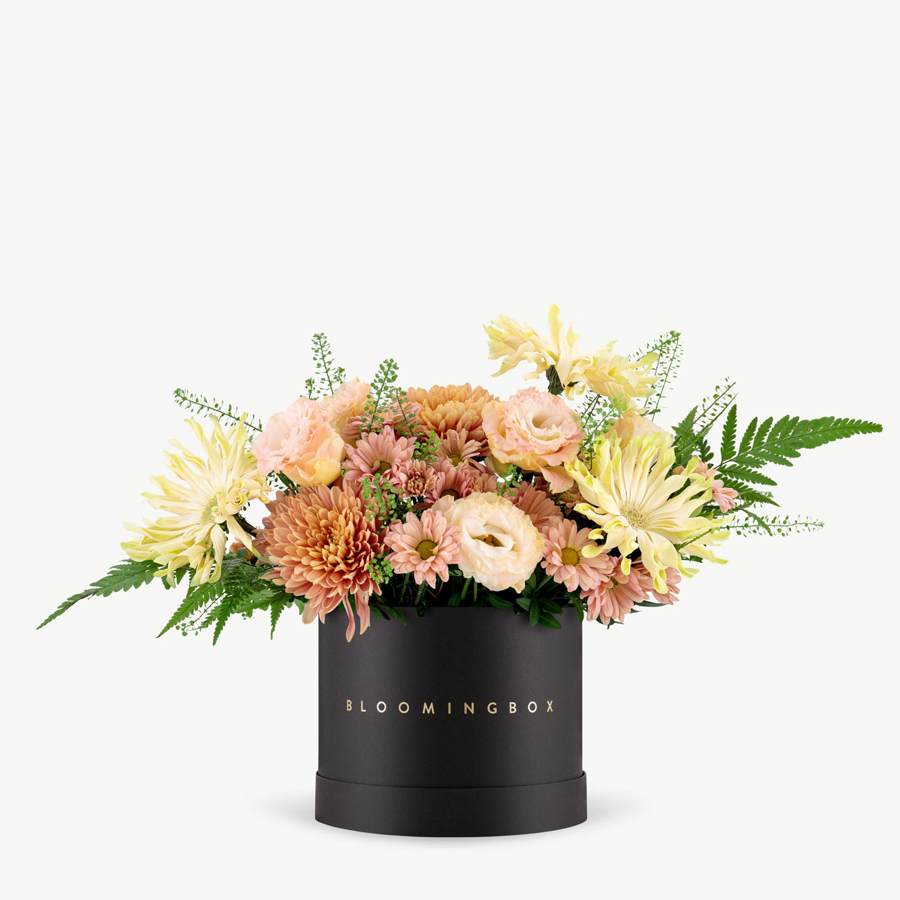 Cannes Box Medium Same Day Delivery