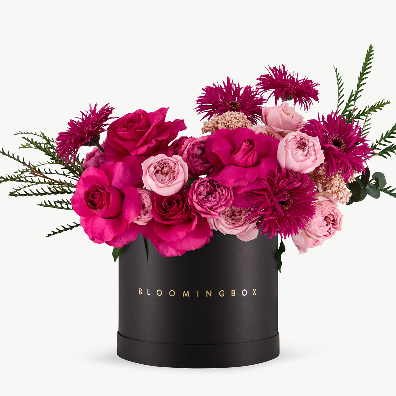 Havana Box Large Same Day Delivery